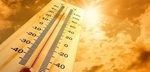 Upały w gminie Oświęcim: jak chronić siebie i zwierzęta przed wysokimi temperaturami?
