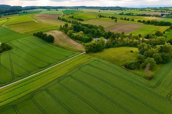 Gmina Oświęcim sprzedaje działki w Grojcu i Porębie Wielkiej