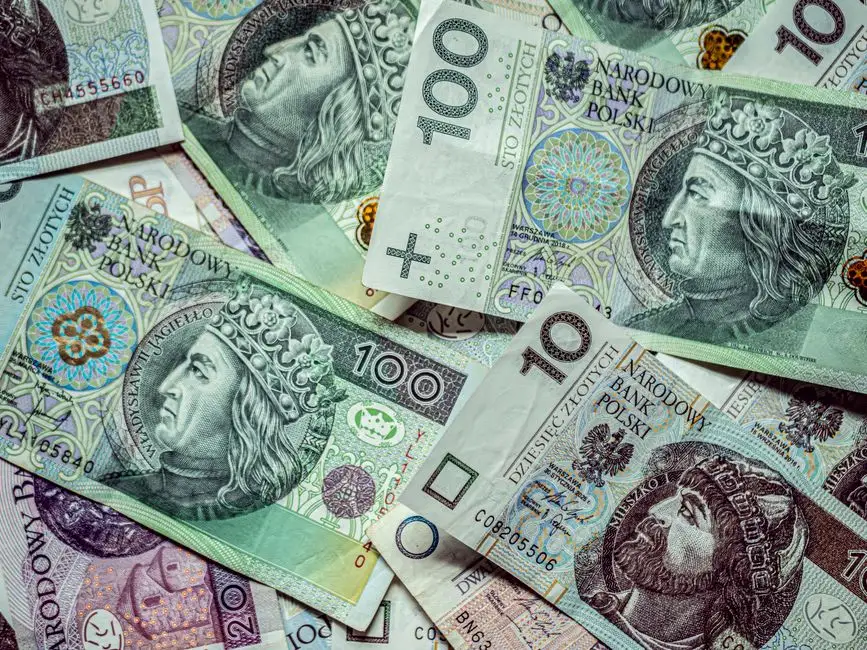 Rusza nabór wniosków na projekty obywatelskie w Dolinie Karpia – do zdobycia ponad 940 tys. zł